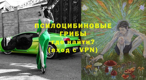 индика Горно-Алтайск