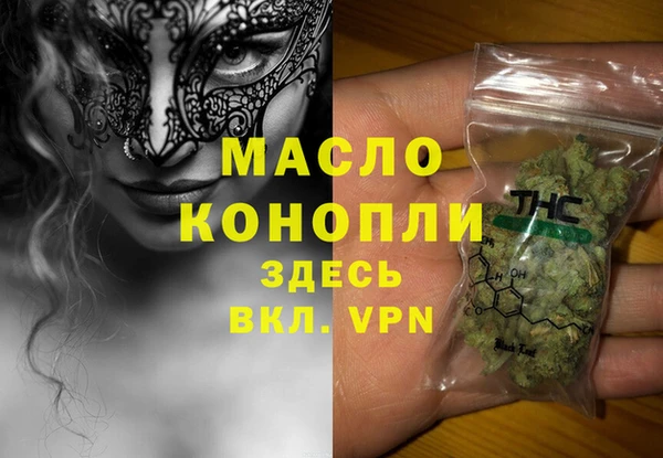 индика Горно-Алтайск