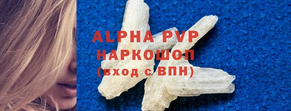 индика Горно-Алтайск