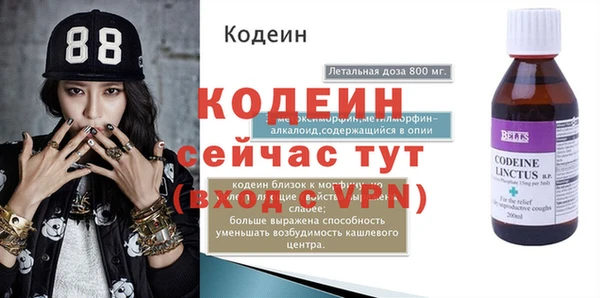 индика Горно-Алтайск