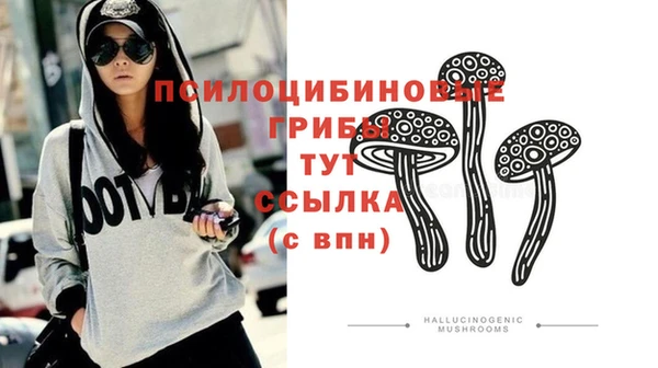 индика Горно-Алтайск