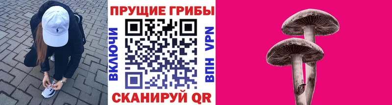 Псилоцибиновые грибы Cubensis  Купить  Орлов 